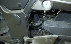 KAWASAKI NINJA 250 ABS 2022 EX250L