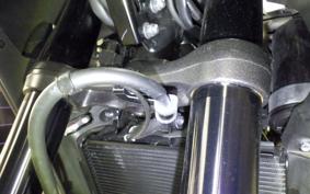 HONDA NX400 2024 NC65