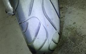 HONDA CBR1100XX 1999