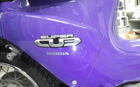 HONDA C110 SUPER CUB 2004 JA07