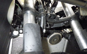 KAWASAKI NINJA 250 ABS EX250L