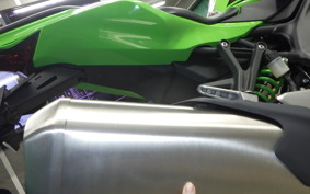 KAWASAKI ZX-4RR 2023 ZX400P