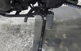 SUZUKI Vｽﾄﾛｰﾑ800 2024 EM1BA