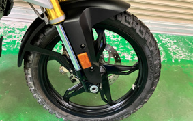 BMW G310GS 2021 0G31