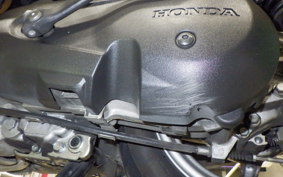 HONDA BENLY 110 JA09
