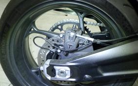 TRIUMPH DAYTONA660 2026