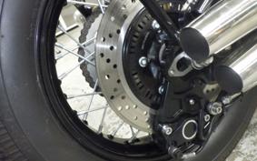 OTHER THUNDER250