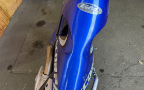 SCORPA SY250