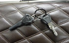 TRIUMPH SCRAMBLER 900 2025