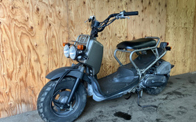 HONDA ZOOMER SPECIAL EDITION AF58