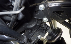 YAMAHA YZF-R25 2016 RG43J