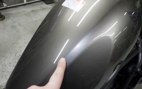 HONDA REBEL 250 S 2007 MC49