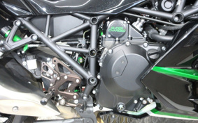 KAWASAKI NINJA H2 SX 2023 ZXT02P