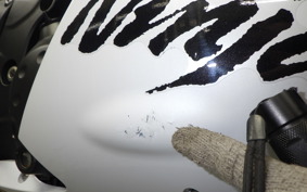 KAWASAKI ZX 1400 NINJA R A 2020