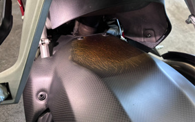 DUCATI 1199PANIGA-RES 2013
