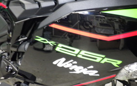 KAWASAKI ZX-25R 2015 ZX250E