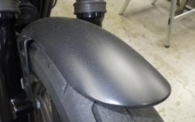 HARLEY XL883N 2019