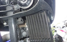 SUZUKI ｼﾞｸｻｰ250 1997 ED22Y