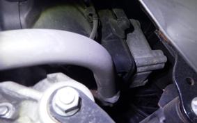 SUZUKI ADDRESS 110 2025 CE47A