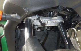 SUZUKI Vｽﾄﾛｰﾑ650A 2013