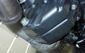 YAMAHA MT-09 2024 RN69J