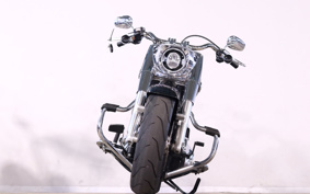 HARLEY FLFBS 2023 YGK