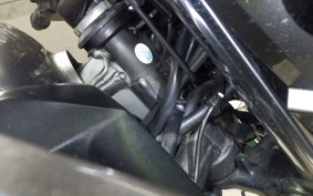 KAWASAKI Z250 A 2024 ER250C