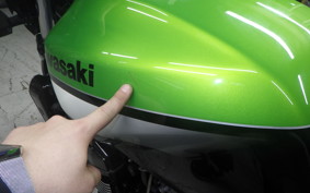 KAWASAKI ZRX1200 R 2008 ZRT20A