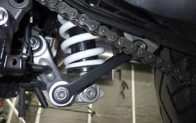 TRIUMPH TIGER 800 XR X 2019