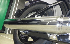 HARLEY FXBB1920 2026