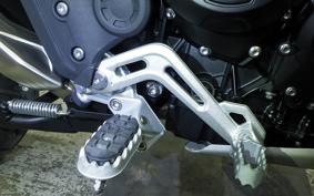 TRIUMPH TIGER 900 RALLY PRO 2026