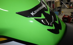 KAWASAKI ZX-4RR 2025 ZX400P