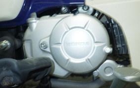 HONDA C110 SUPER CUB