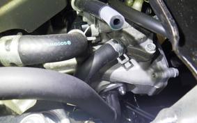 HONDA BENLY 50 2026 AA05