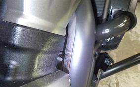 HARLEY RH975S 2024