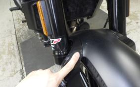 HUSQVARNA SVARTPILEN 250 2025