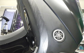 YAMAHA N-MAX 2009 SEG6J