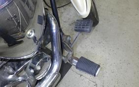 YAMAHA DRAGSTAR 250 2014 VG02J