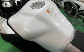 YAMAHA XT1200Z SUPER TENERE 2010 DP01