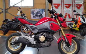 HONDA GROM JC75