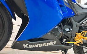 KAWASAKI NINJA 250 EX250L