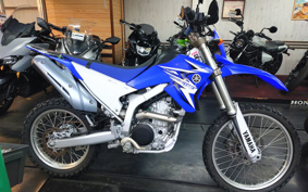 YAMAHA WR250R DG15J