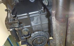 HONDA HORNET 250 MC31