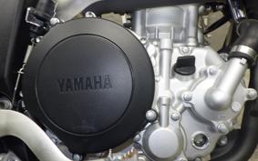 YAMAHA WR250X DG15J