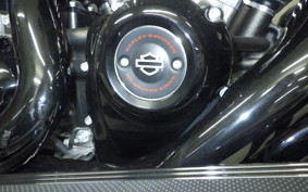 HARLEY FLTRXSE1920CVO 2018