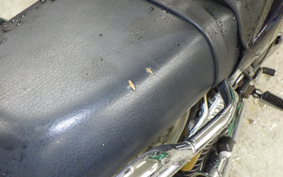 YAMAHA SRV250 RENAISSA S 2005 4DN