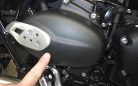 TRIUMPH BONNEVILLE T100 2025