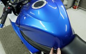 SUZUKI GSX-R750 2009