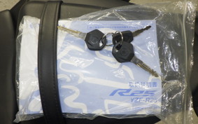 YAMAHA YZF-R25 2009 RG43J