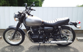 KAWASAKI W800 STREET 2021 EJ800B